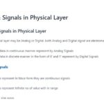 data and signal in physical layer