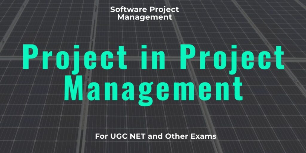 Project in Project Management