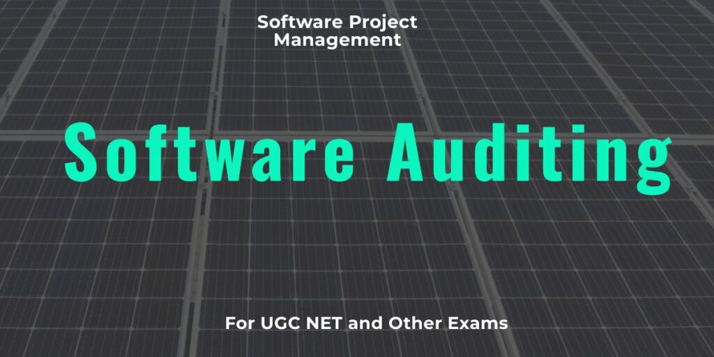 Software Auditing